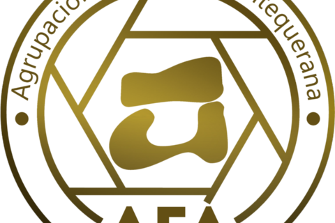 cropped-AFA-Logo-Color-PNG-circulo-blanco-1-4-1024x1024