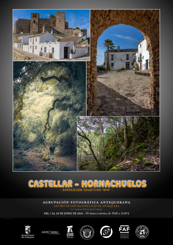 Cartel de Castellar - Hornachuelos. Exposición colectiva "AFA". Desde el 7 hasta el 21 de junio de 19.00 h. a 21.00 h.