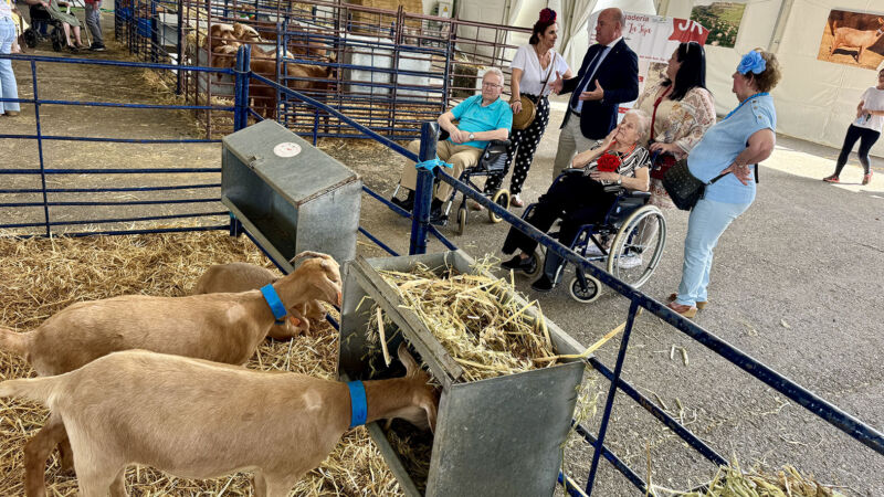 El Recinto Ferial acoge la exposición de la raza caprina malagueña dentro de AGROGANT y la Feria de Primavera 2025