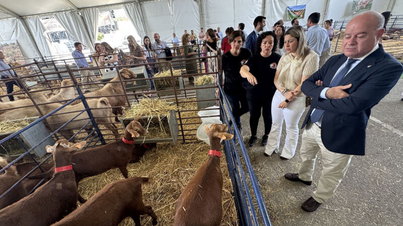 El Recinto Ferial acoge la exposición de la raza caprina malagueña dentro de AGROGANT y la Feria de Primavera 2025