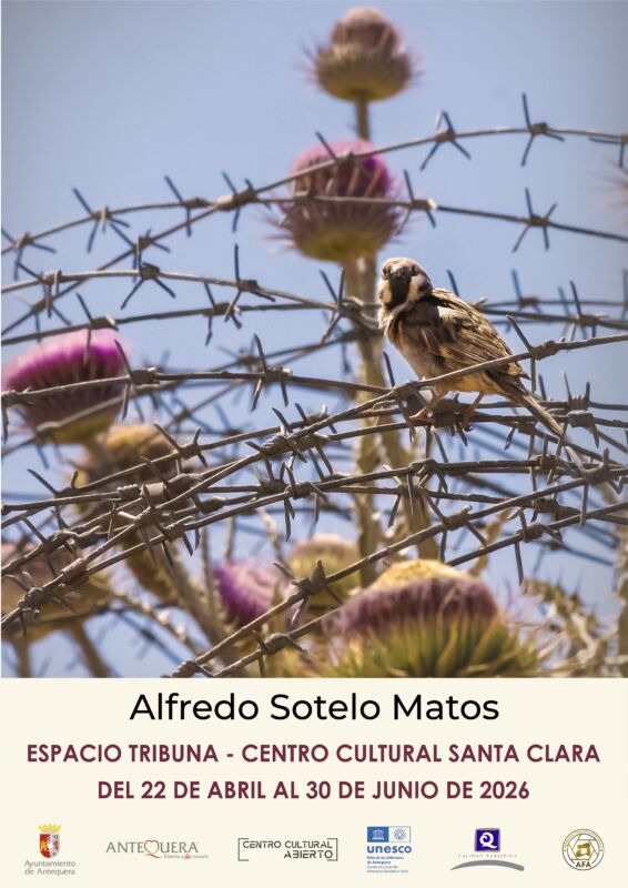 Espacio Tribuna. Alfredo Sotelo Matos