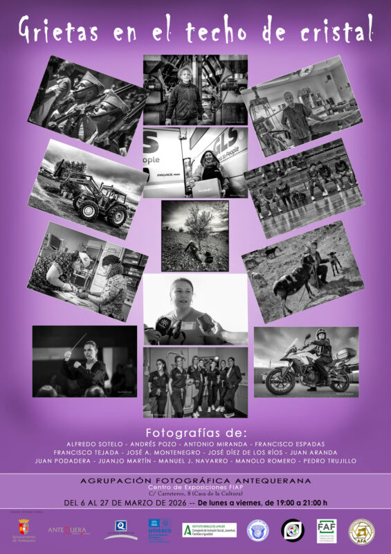 Grietas en el techo de cristal. Exposición fotográfica