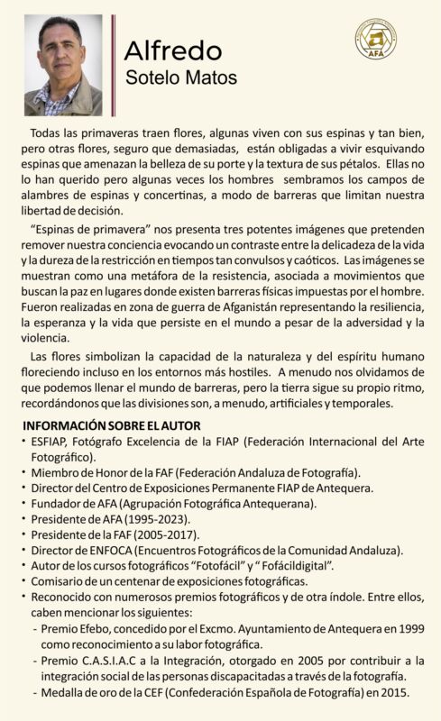 Espacio Tribuna. Alfredo Sotelo Matos