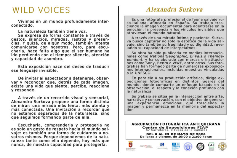 Exposición AFA mayo 2026